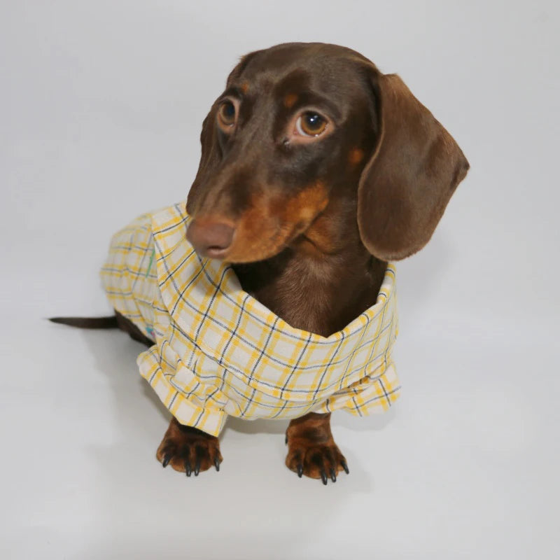 Dachshund Country Club™ Shirt – Soft Plaid Long Sleeve for Stylish Sausage Dogs