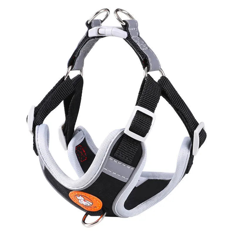 Dachshund Comfort Walk Set™ | No-Pull Harness & Leash for Effortless Adventures