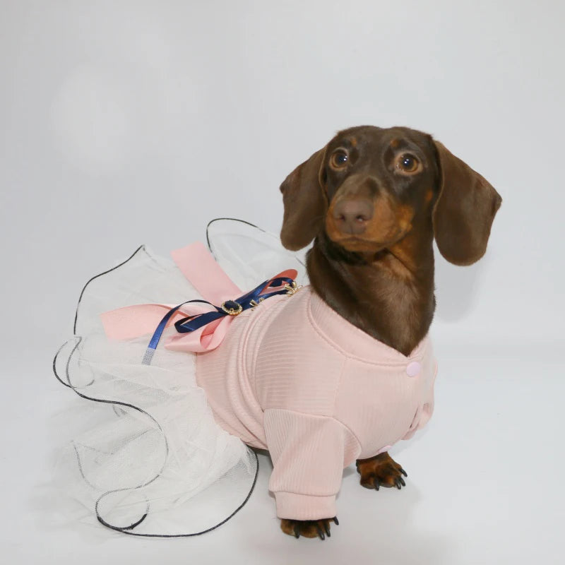 Pink Princess Dress for Dachshunds – Soft Lace Summer Dress for Stylish Sausage Dogs