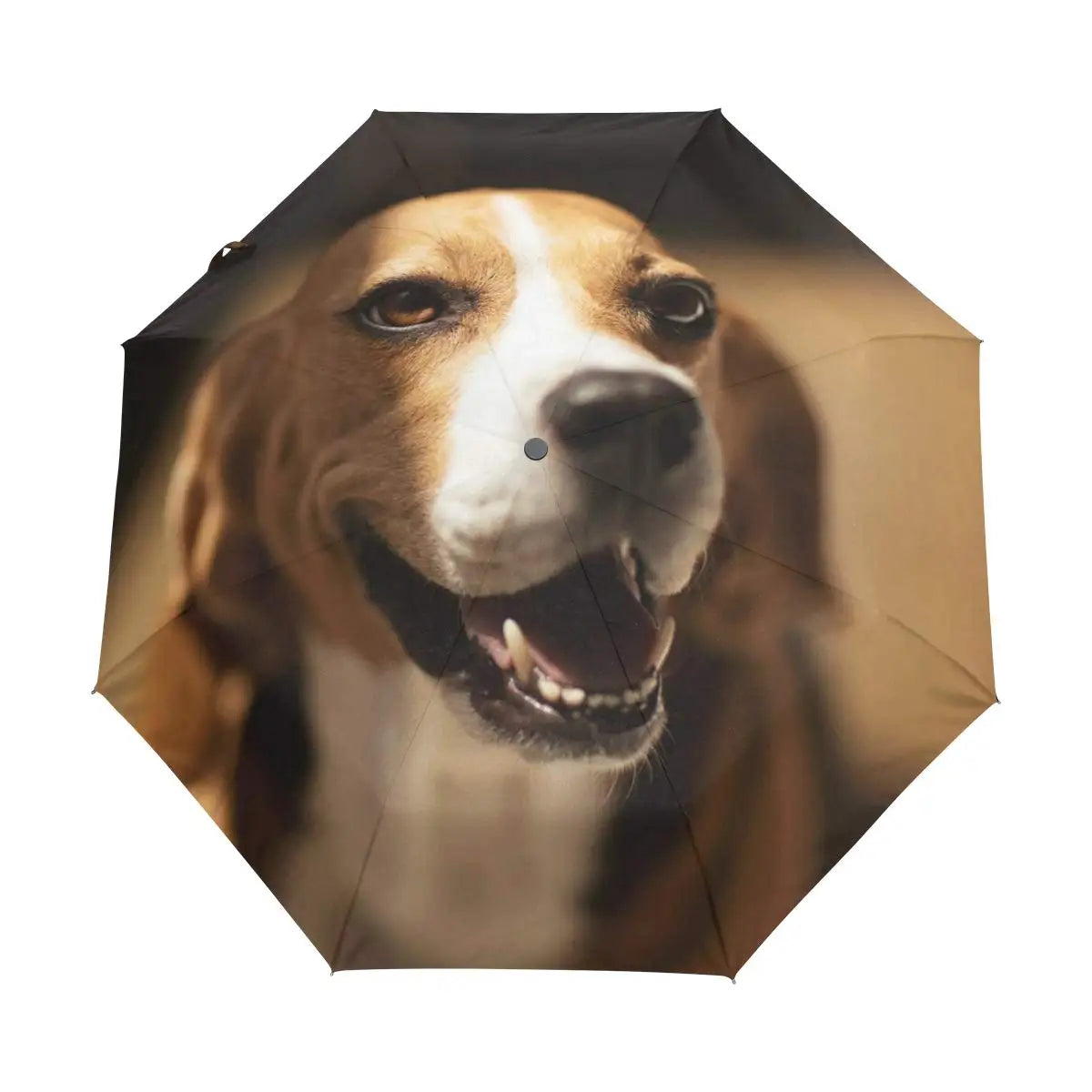 Dachshund Folding Umbrella – Lightweight Windproof Travel Umbrella for Dachshund Lovers