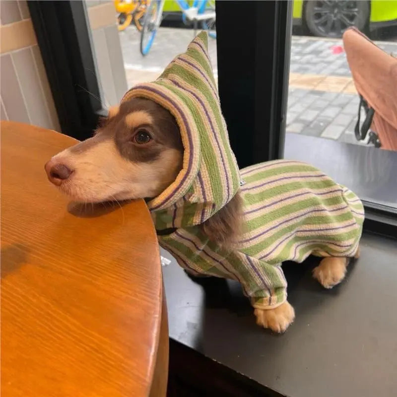 Classic Green Stripe Dachshund Sweater – Soft Cotton Pullover for Stylish Sausage Dogs