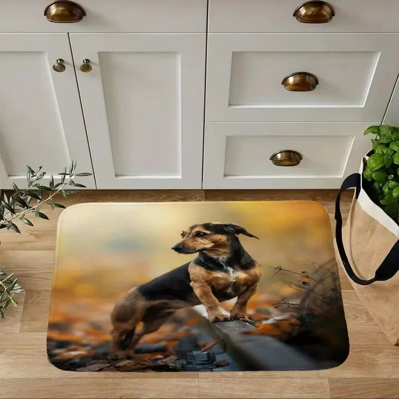Dachshund Welcome Mat – Non-Slip Indoor Rug for Entryway, Kitchen & Living Room
