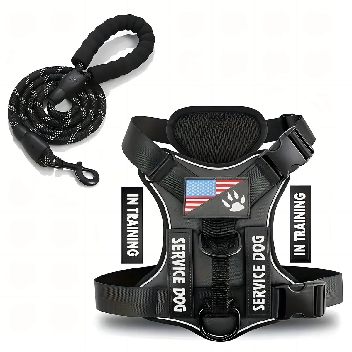 Dachshund Escape-Proof Harness Set™ | Secure No-Pull Control & Reflective Safety