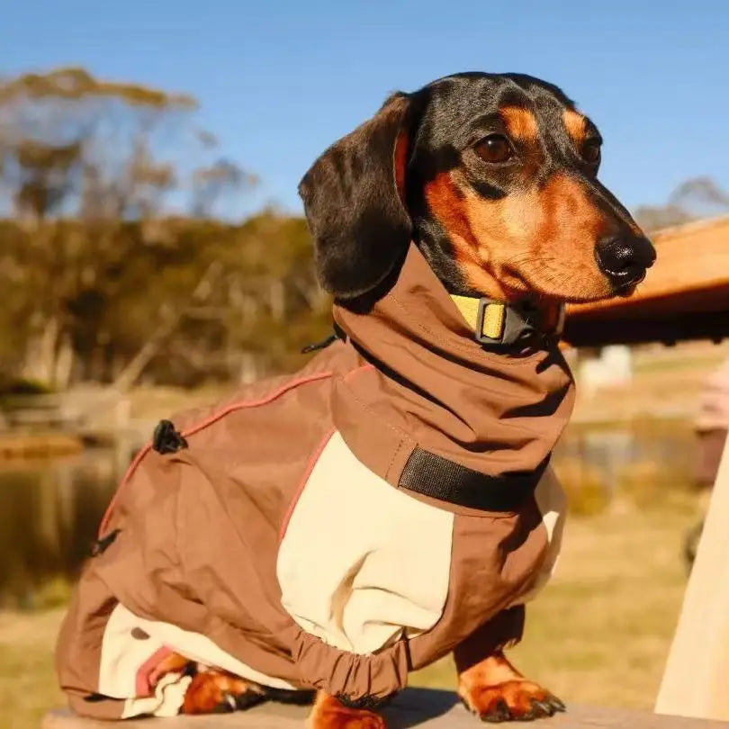 Dachshund Winter Comfort Jacket – Warm & Cozy Coat for Cold Weather Walks