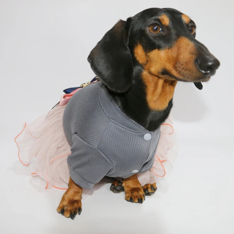 Pink Princess Dress for Dachshunds – Soft Lace Summer Dress for Stylish Sausage Dogs