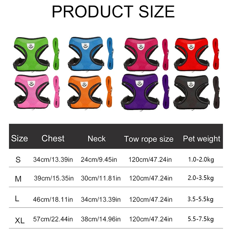 Dachshund AirMesh Harness™ | Lightweight Breathable Comfort for Every Walk