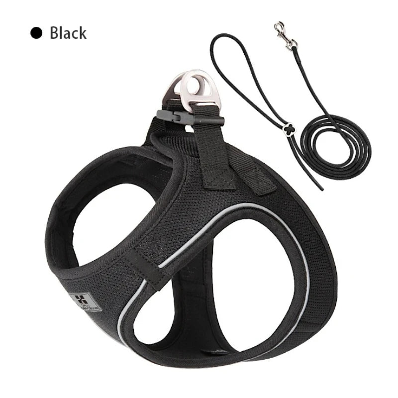 Premium Dachshund Harness & Leash Set – Safe, Comfortable & Escape-Proof for Daily Walks