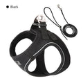 Premium Dachshund Harness & Leash Set – Safe, Comfortable & Escape-Proof for Daily Walks