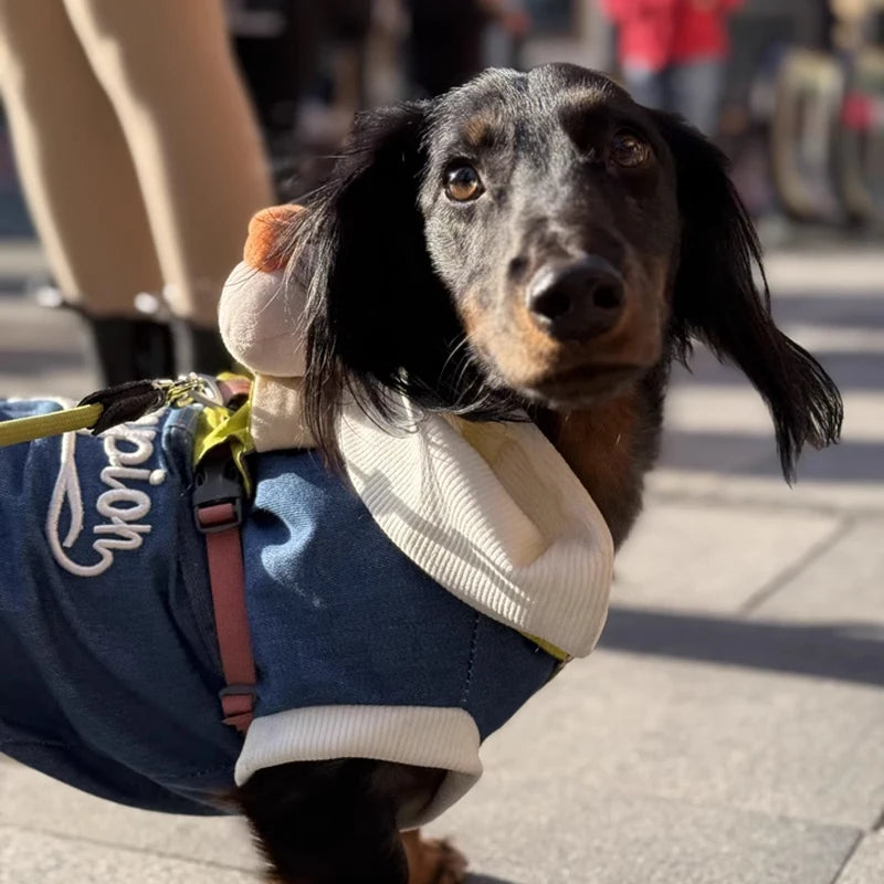 Dachshund Denim Hoodie™ – Premium Jean Jacket for Stylish Sausage Dogs