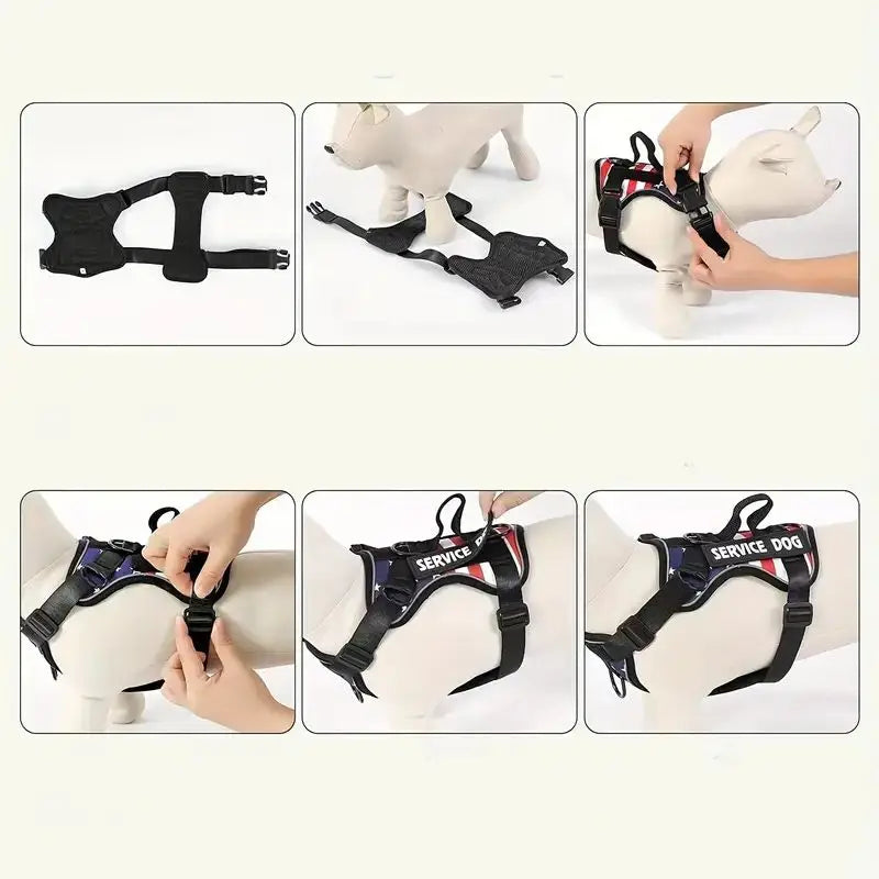 Dachshund Escape-Proof Harness Set™ | Secure No-Pull Control & Reflective Safety