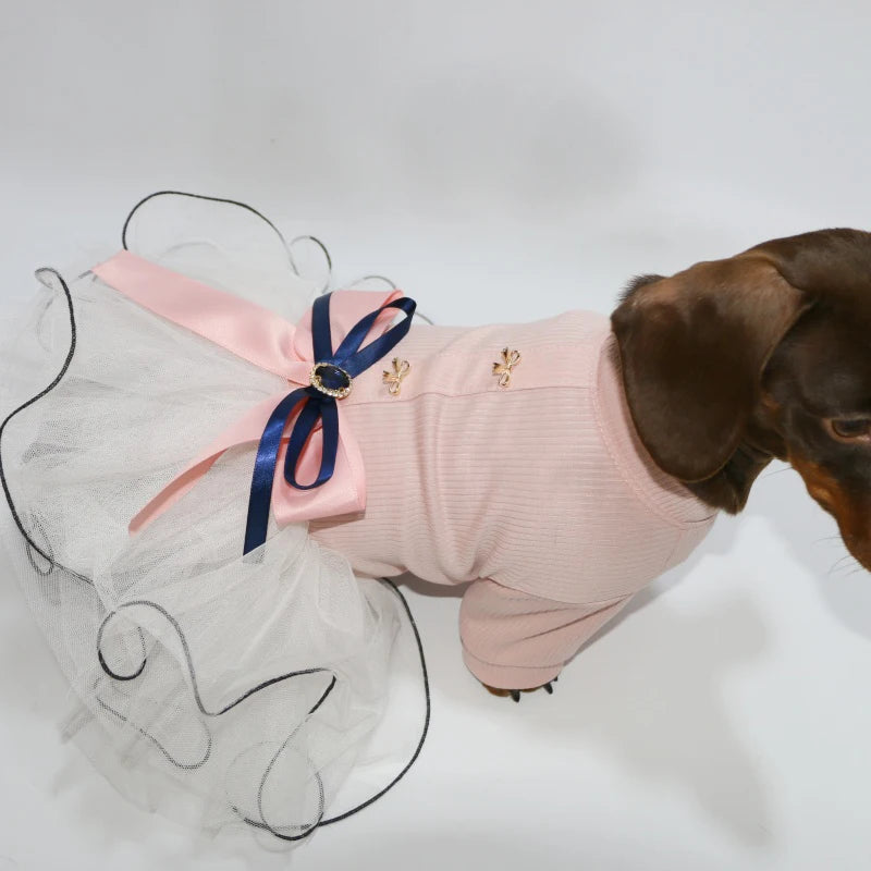 Pink Princess Dress for Dachshunds – Soft Lace Summer Dress for Stylish Sausage Dogs
