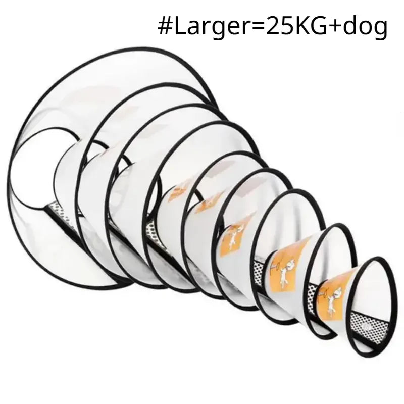 Soft Recovery Collar for Dachshunds | Comfortable Protective Cone for Faster Healing