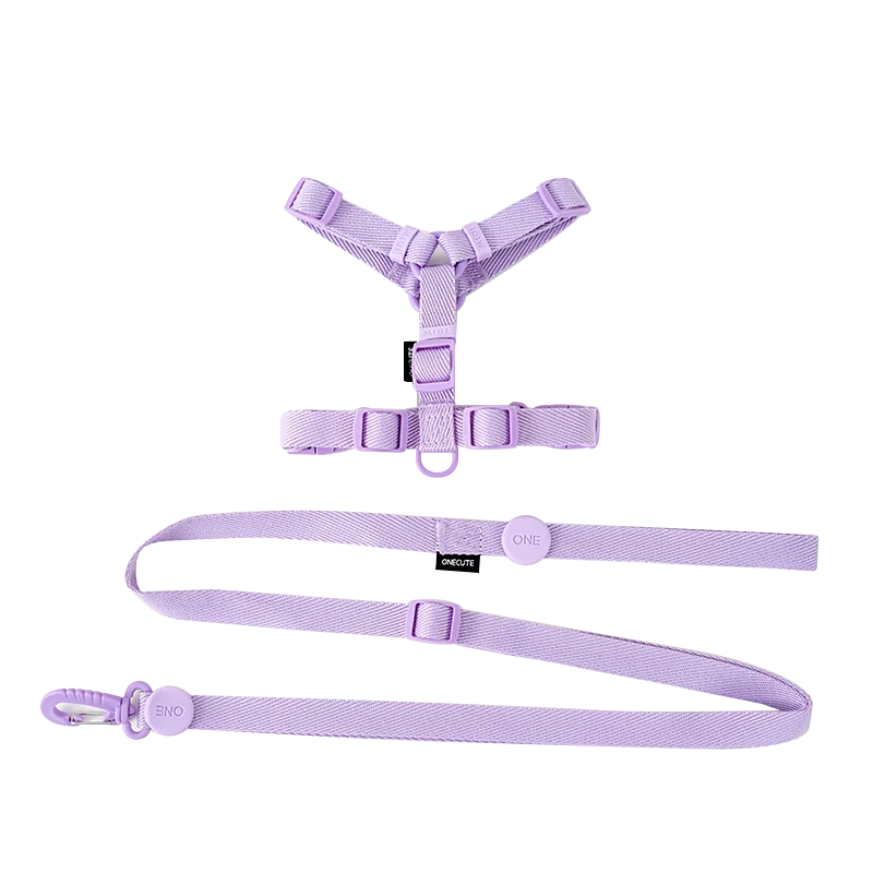 Dachshund Walk Set™ | Adjustable Reflective Harness, Collar & Leash Bundle