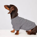 Cozy Knit Winter Sweater for Dachshunds – Ultra Soft Warm Dog Jacket for Cold Weather & Small Dogs