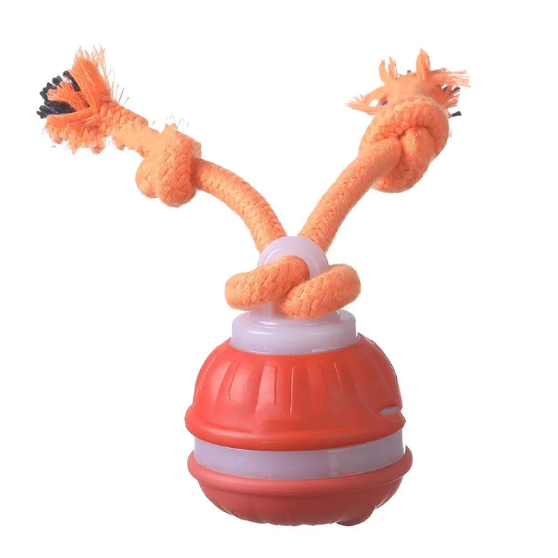 SmartRoll™ for Dachshunds – USB Rechargeable Interactive Rolling Ball for Endless Play