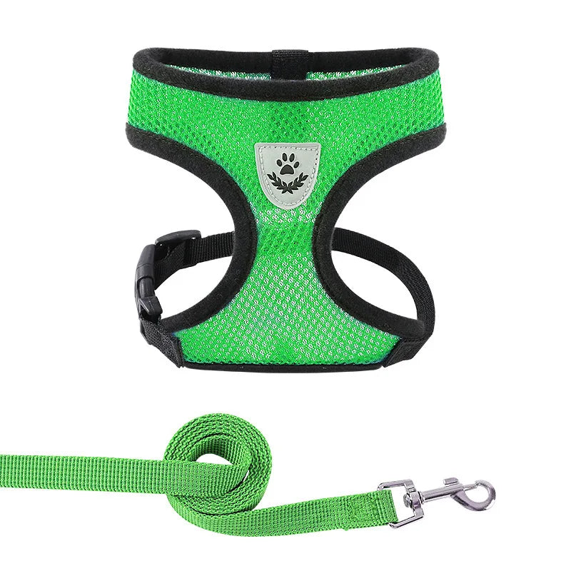 Dachshund AirMesh Harness™ | Lightweight Breathable Comfort for Every Walk