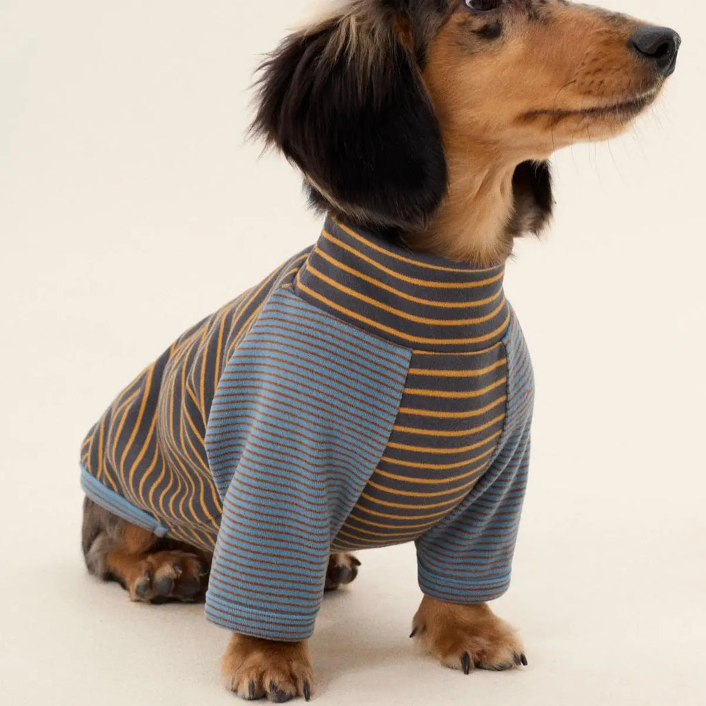 Premium Striped Dachshund Sweater – Warm Cotton Pullover for Sausage Dogs