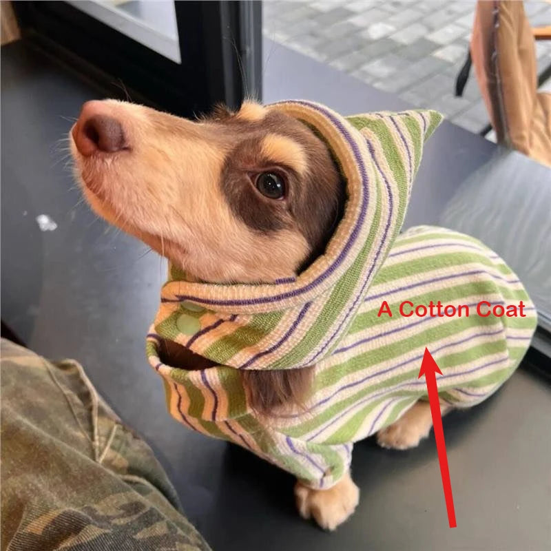 Classic Green Stripe Dachshund Sweater – Soft Cotton Pullover for Stylish Sausage Dogs