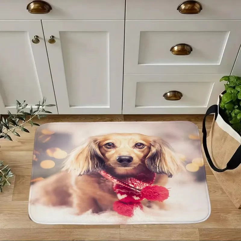 Dachshund Welcome Mat – Non-Slip Indoor Rug for Entryway, Kitchen & Living Room