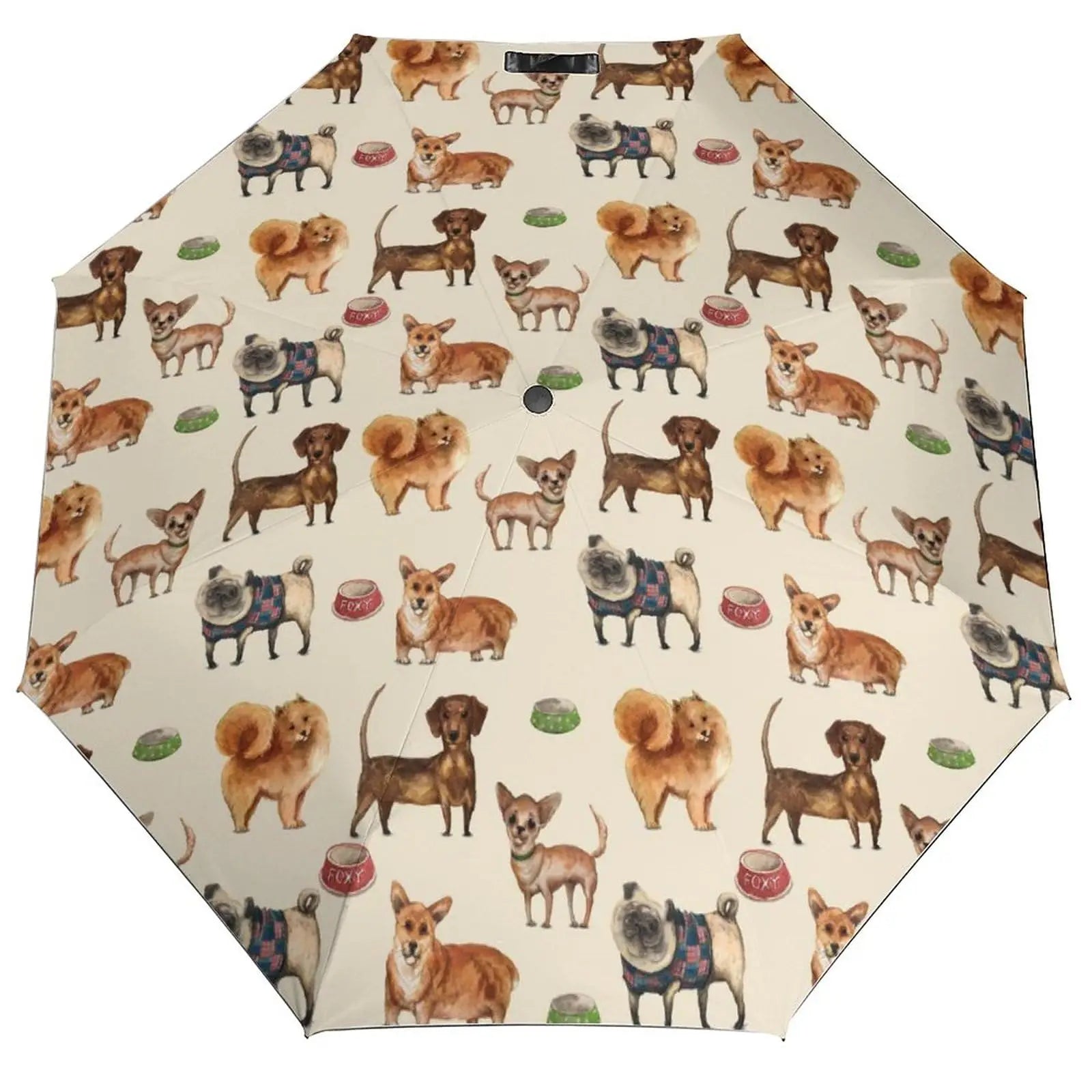 Dachshund Folding Umbrella – Lightweight Windproof Travel Umbrella for Dachshund Lovers