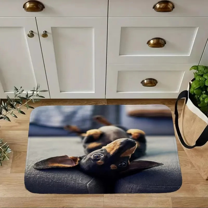 Dachshund Welcome Mat – Non-Slip Indoor Rug for Entryway, Kitchen & Living Room