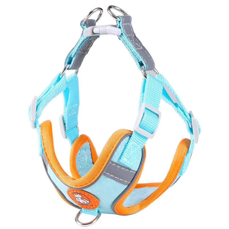 Dachshund Comfort Walk Set™ | No-Pull Harness & Leash for Effortless Adventures