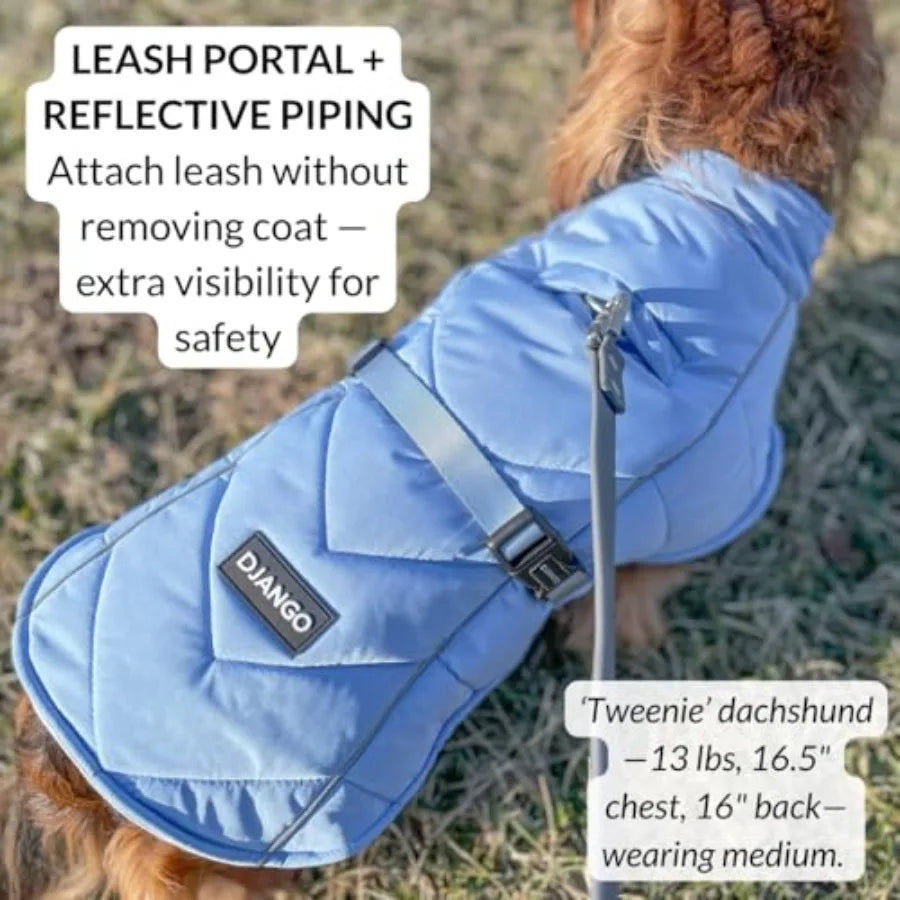 Dachshund Winter Shield™ – Waterproof Puffer Jacket for Cold Weather Walks