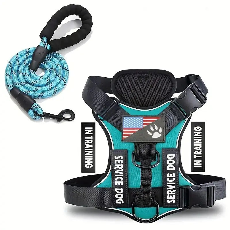 Dachshund Escape-Proof Harness Set™ | Secure No-Pull Control & Reflective Safety