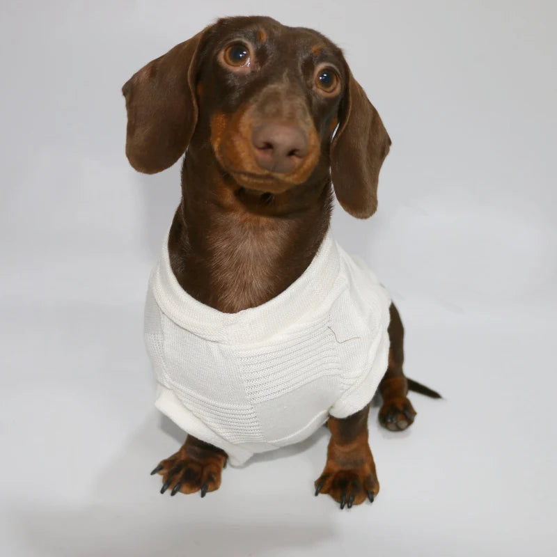 Dachshund Everyday™ Knit Tee – Ultra-Soft Summer Shirt for Sausage Dogs
