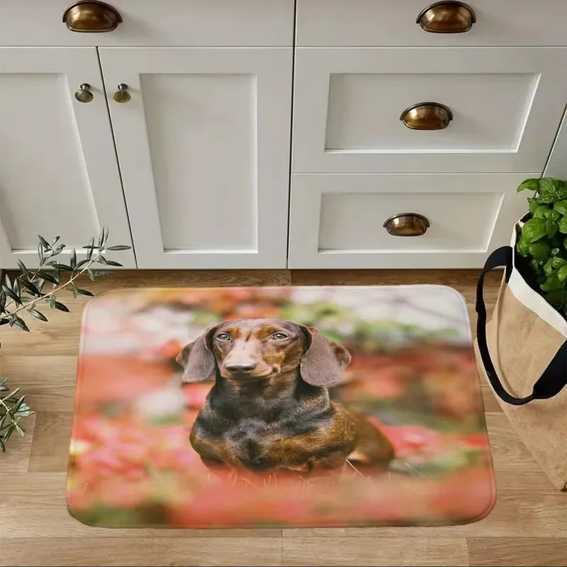 Dachshund Welcome Mat – Non-Slip Indoor Rug for Entryway, Kitchen & Living Room