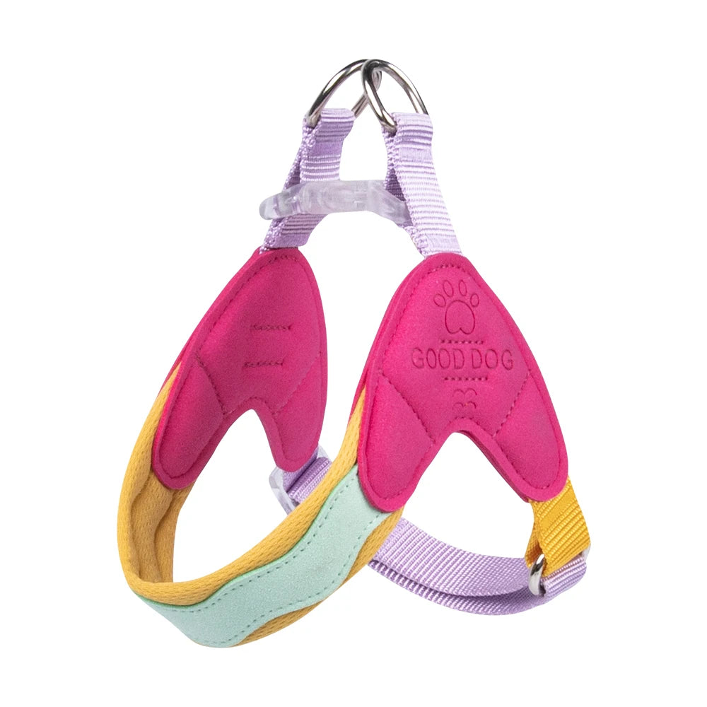 Dachshund No-Pull Vest Harness™ | Padded Comfort & Effortless Control