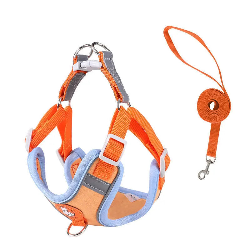 Dachshund Comfort Walk Set™ | No-Pull Harness & Leash for Effortless Adventures