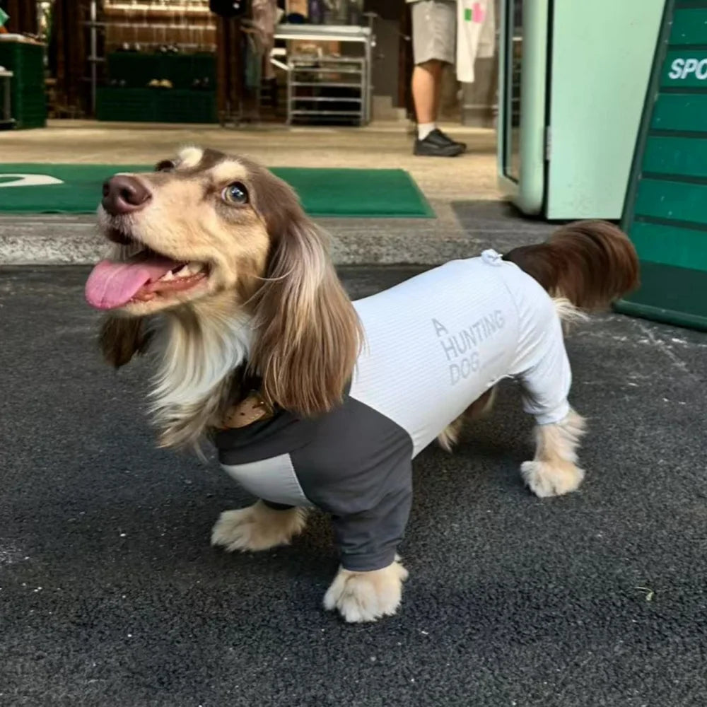 Dachshund CoolSuit™ – Full-Body Cooling Outfit for Hot Summer Days