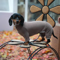 Warm Dachshund Pajamas™ | Soft Winter Four-Legged Dog Jumpsuit