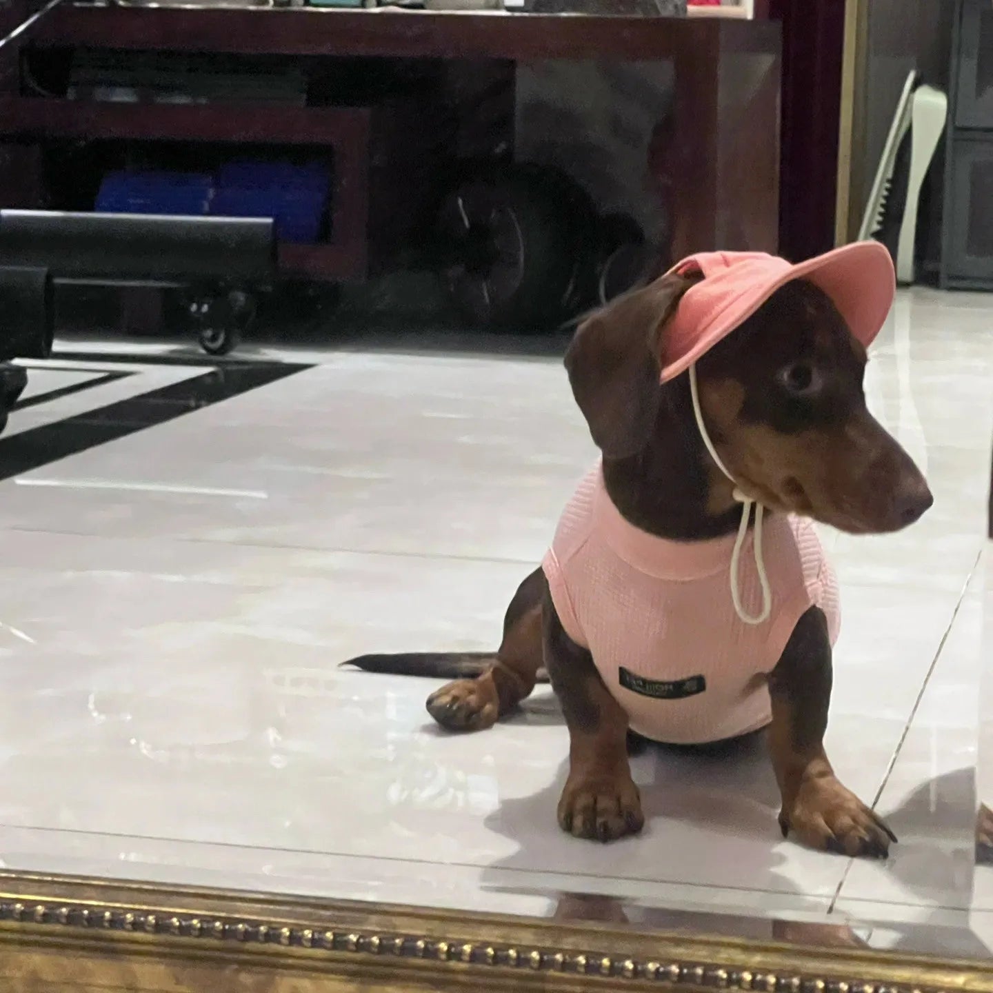 Dachshund Waffle Summer Vest™ | Lightweight & Breathable Pink Outfit for Sausage Dogs