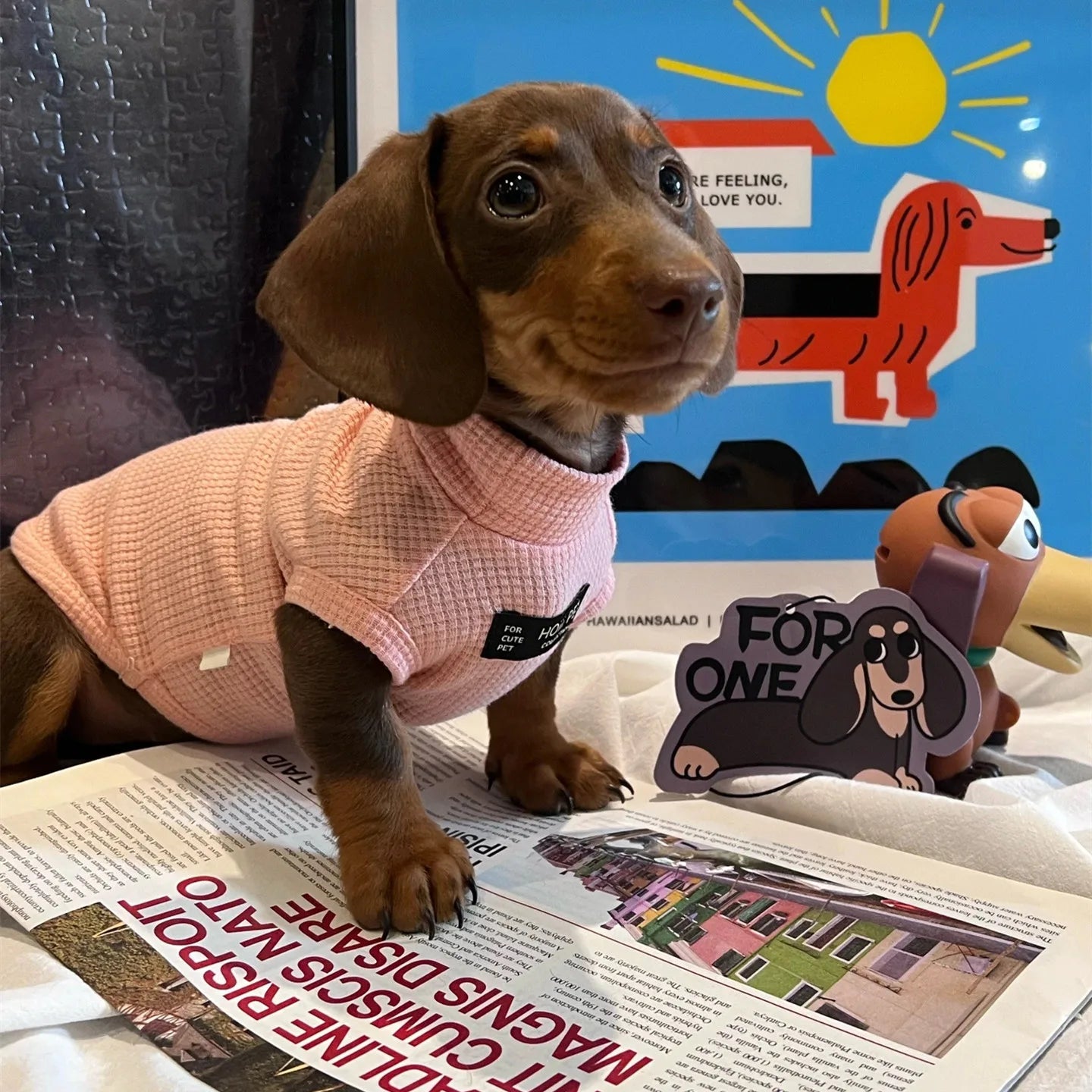 Dachshund Waffle Summer Vest™ | Lightweight & Breathable Pink Outfit for Sausage Dogs