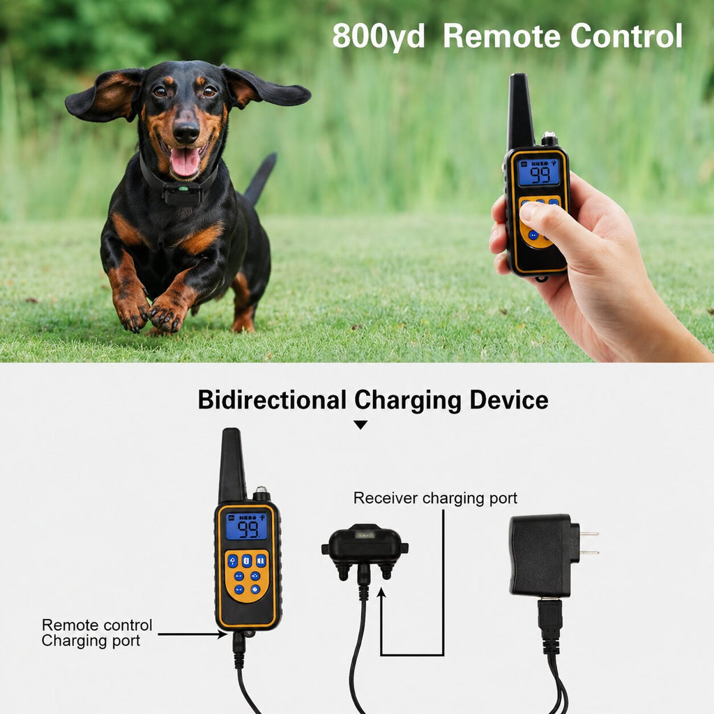 Doxie Recall Pro™ | Advanced Remote Training Collar for Dachshunds