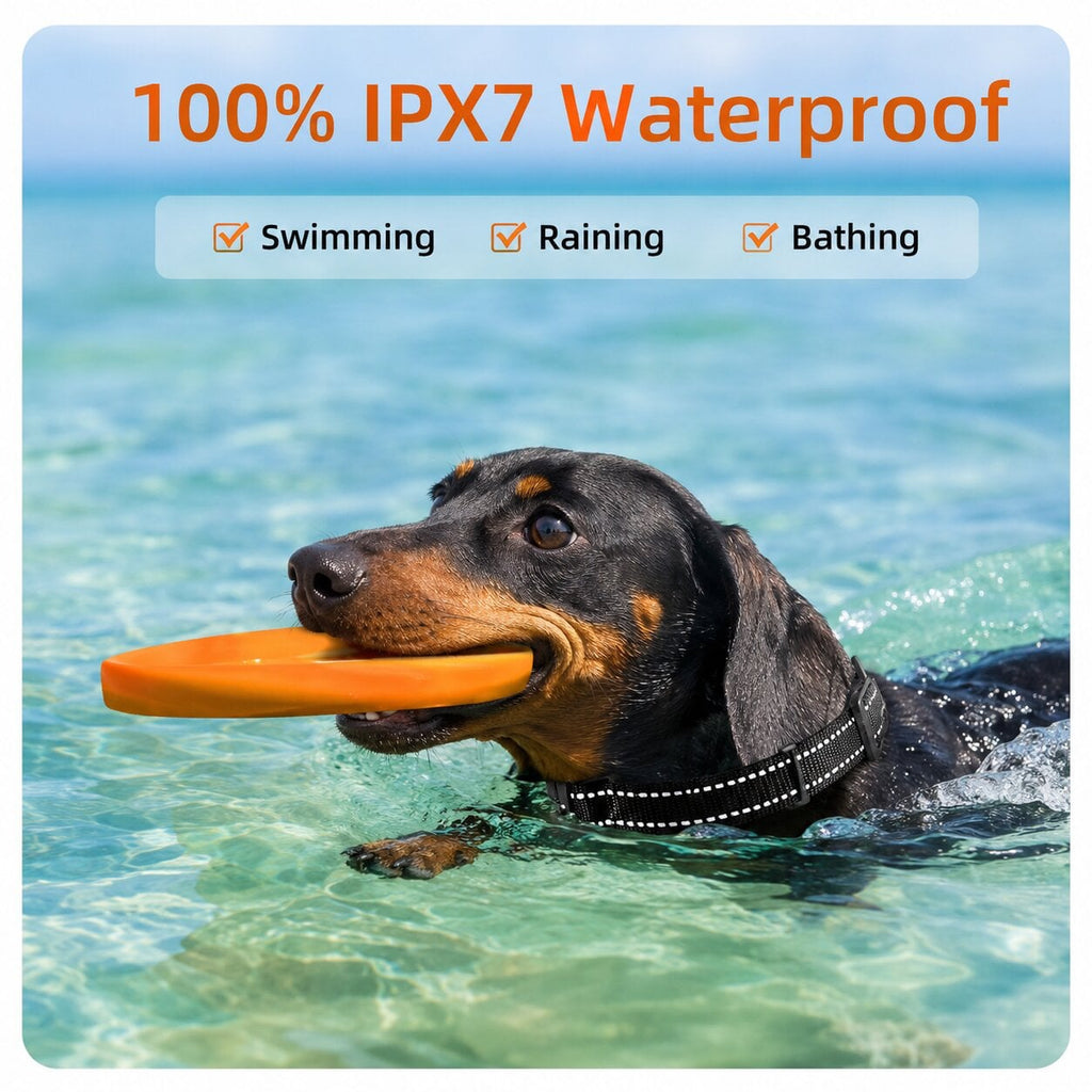 Dachshund Training Pro™ Collar – Remote-Controlled Waterproof Training System