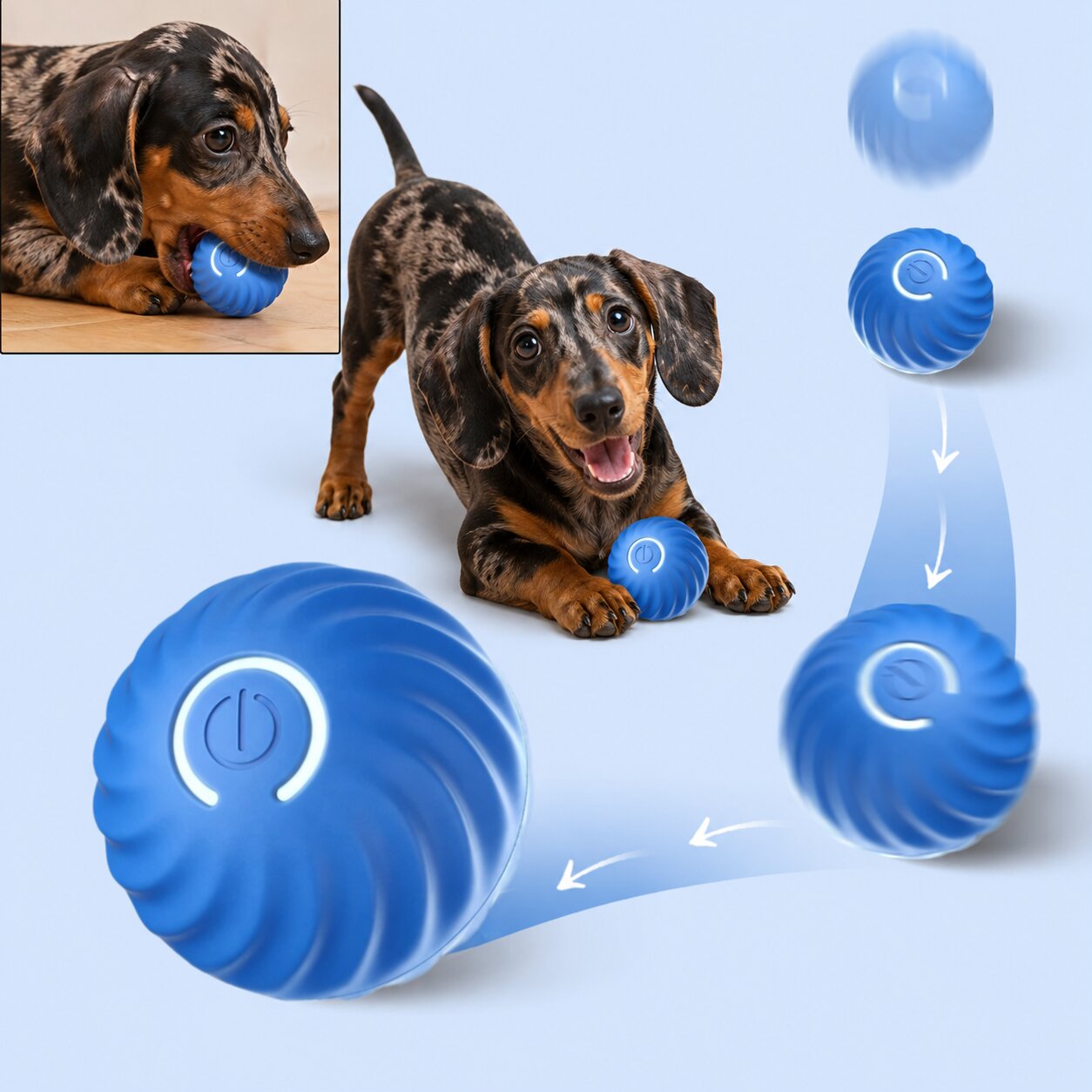 Doxie Zoom Ball™ | Automatic Moving Ball for Curious Dachshunds