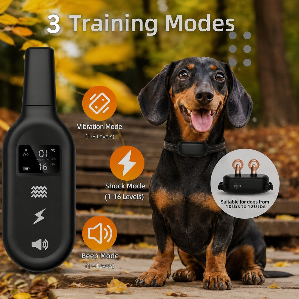 Dachshund Training Pro™ Collar – Remote-Controlled Waterproof Training System